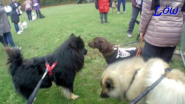 26.10.2024 -  Treffen mit Lilly